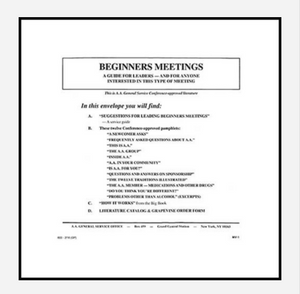 Guide for Leading Beginners Meetings
